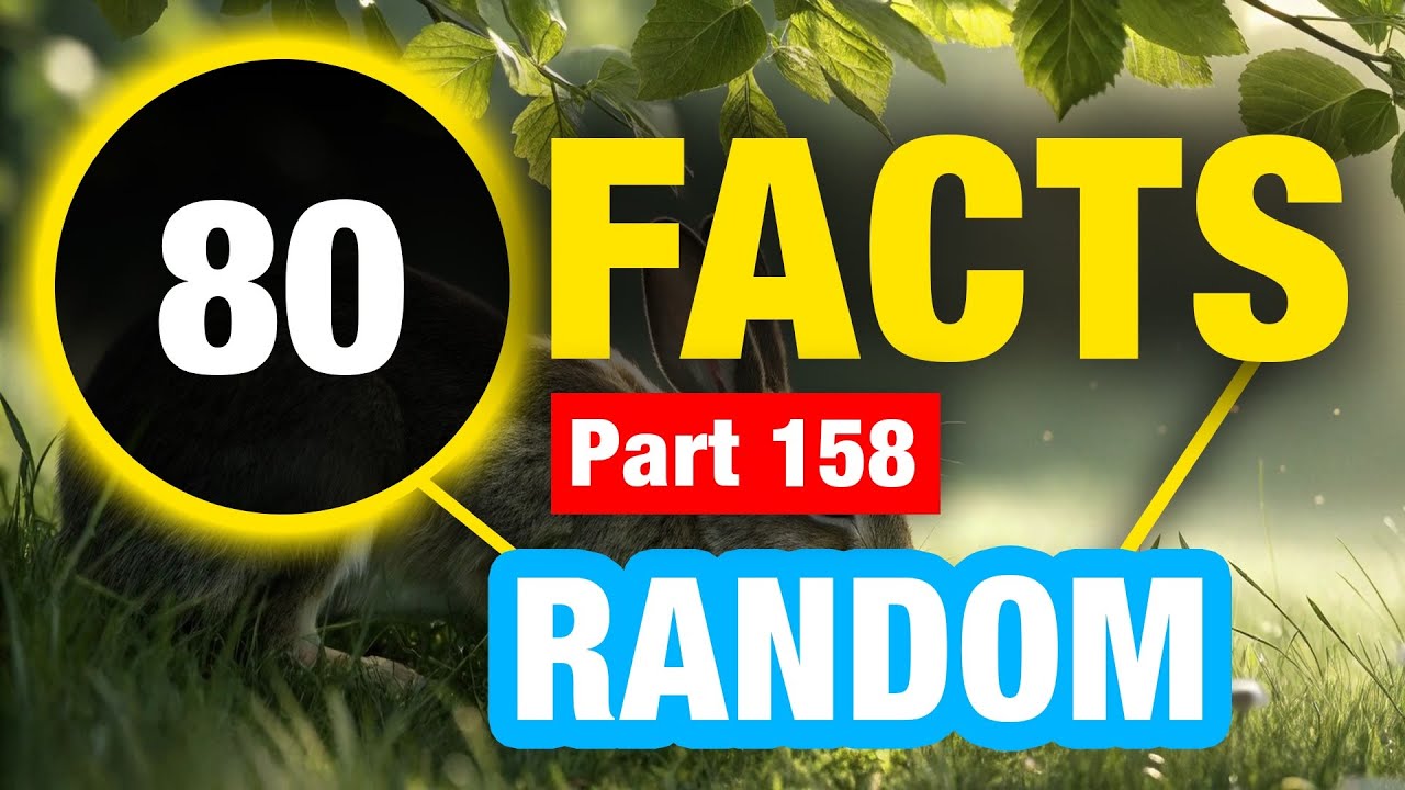 80 Random Facts That Will Surprise You