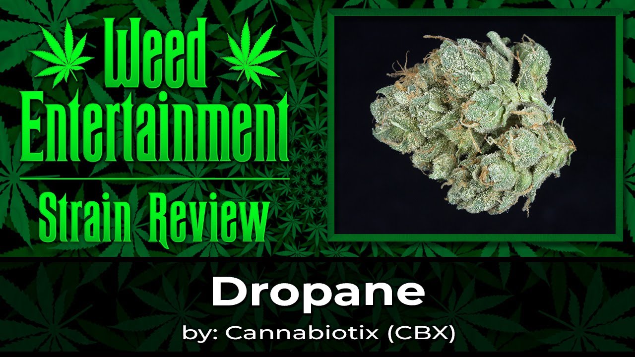 Dropane by Cannabiotix (CBX) - Review - October 2024