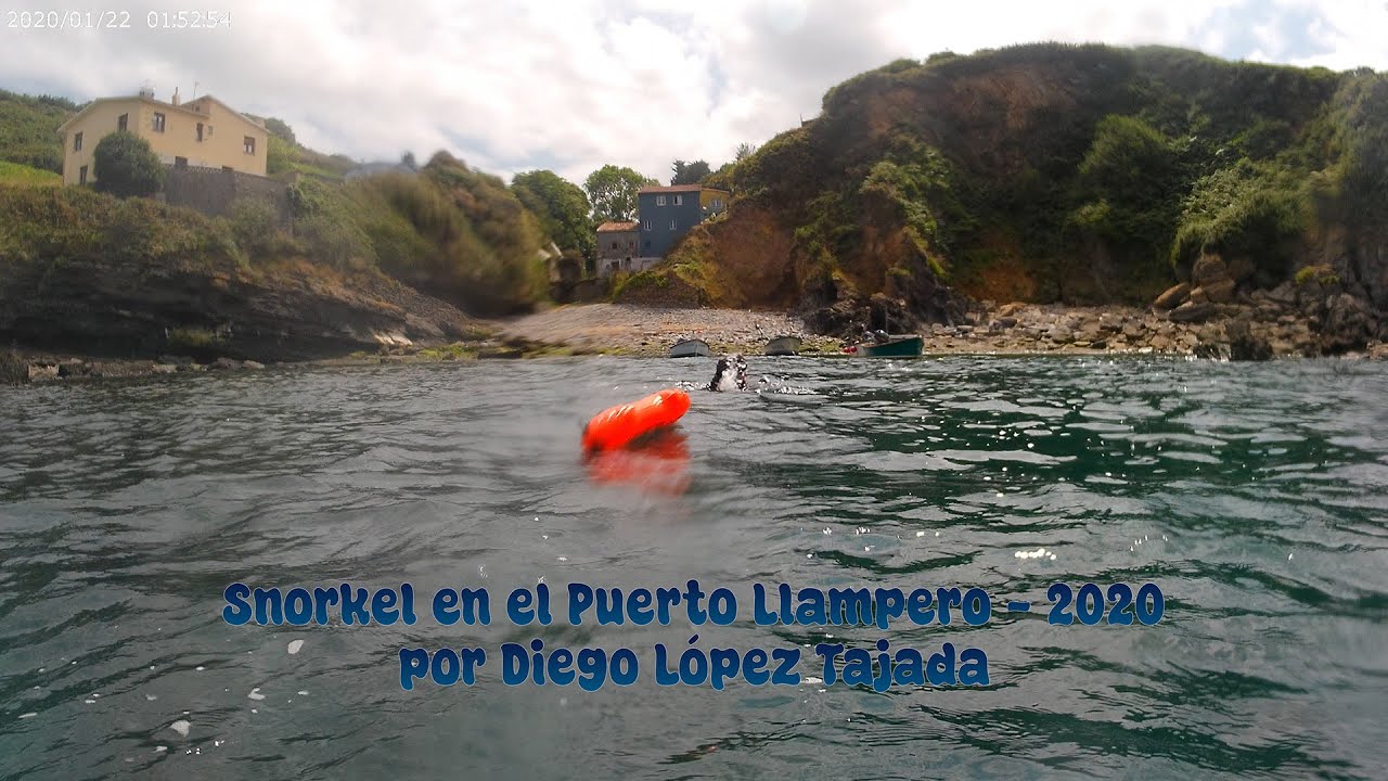 Snorkel y Buceo en el Puerto Llampero - 2020