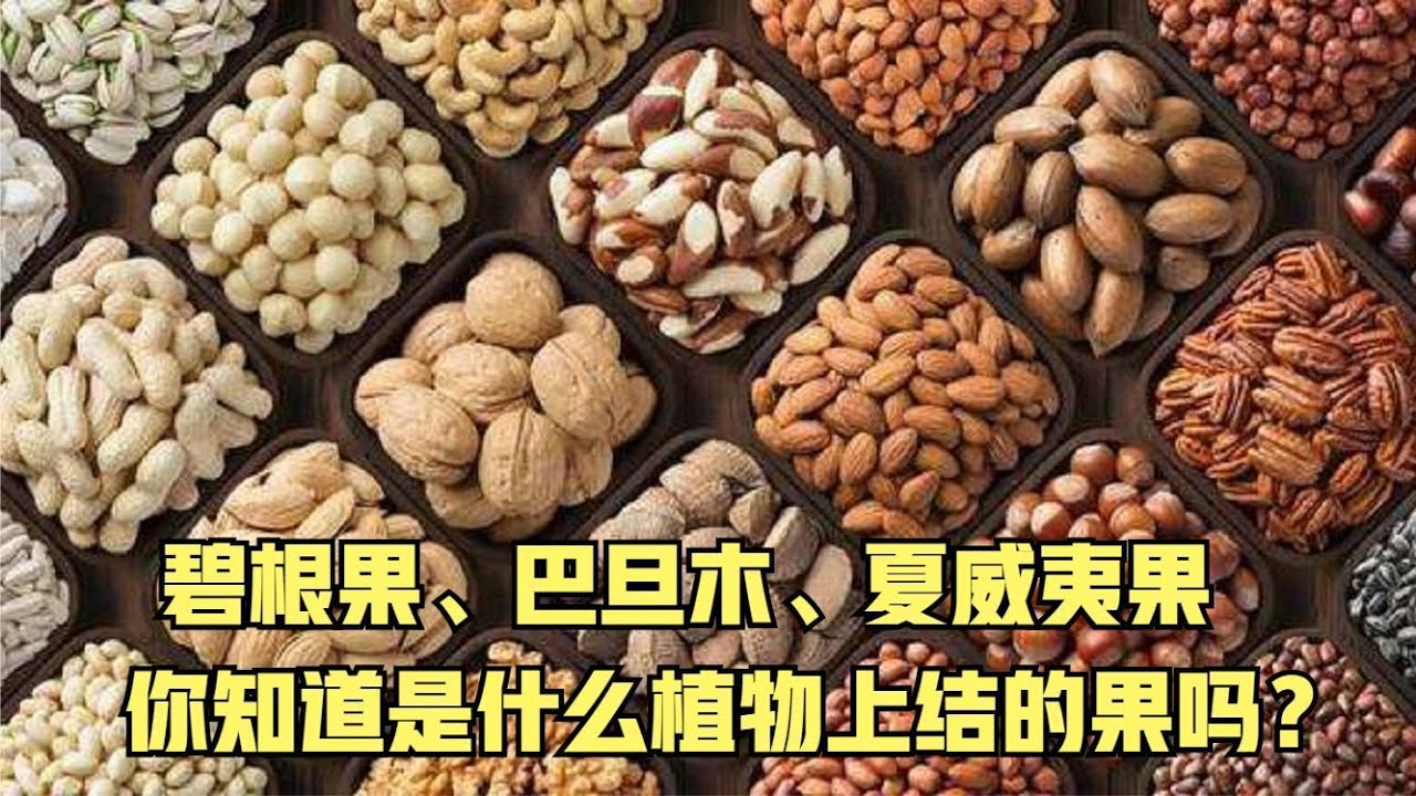 碧根果、巴旦木、夏威夷果你知道是什么植物结的果吗？