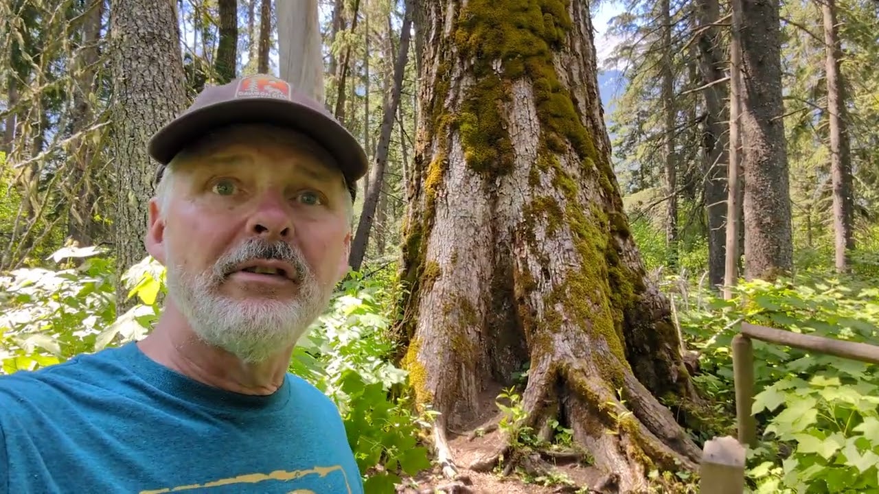 Cottonwood Trail - Morrissey BC