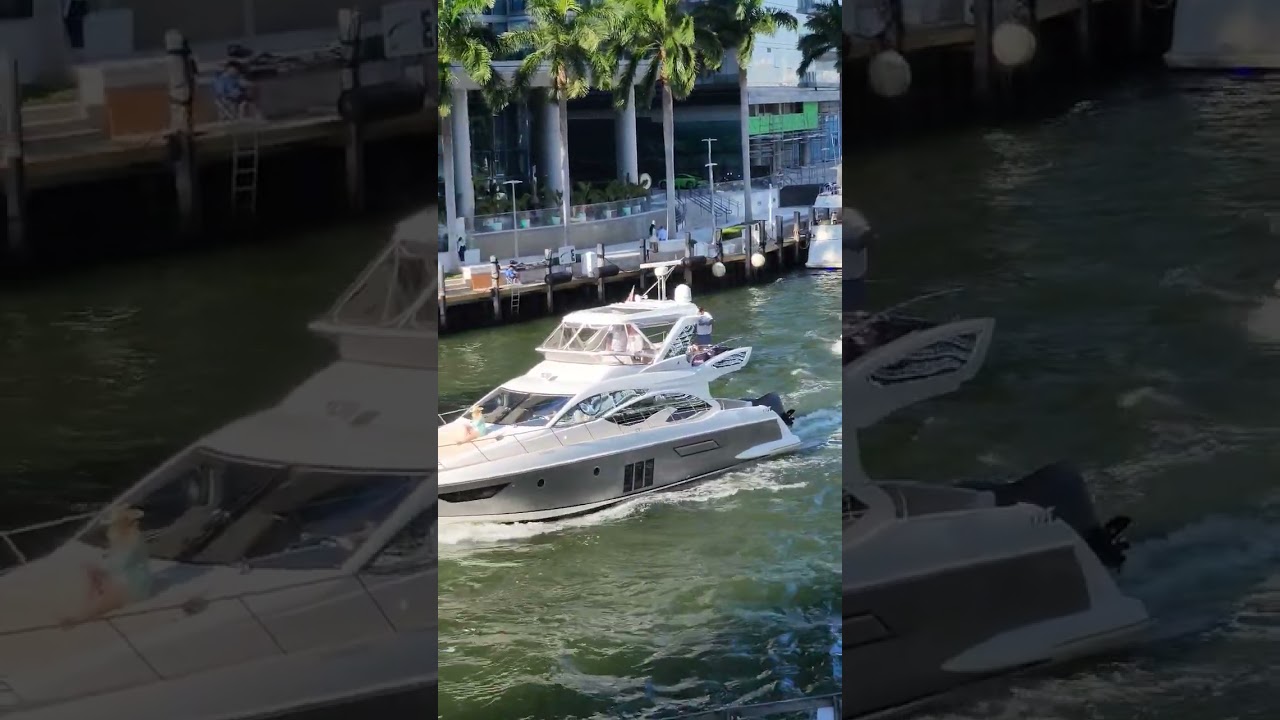 Yates de Colecci&oacute;n #viral #miami #trending #yates #barcos #lanchas #shorts