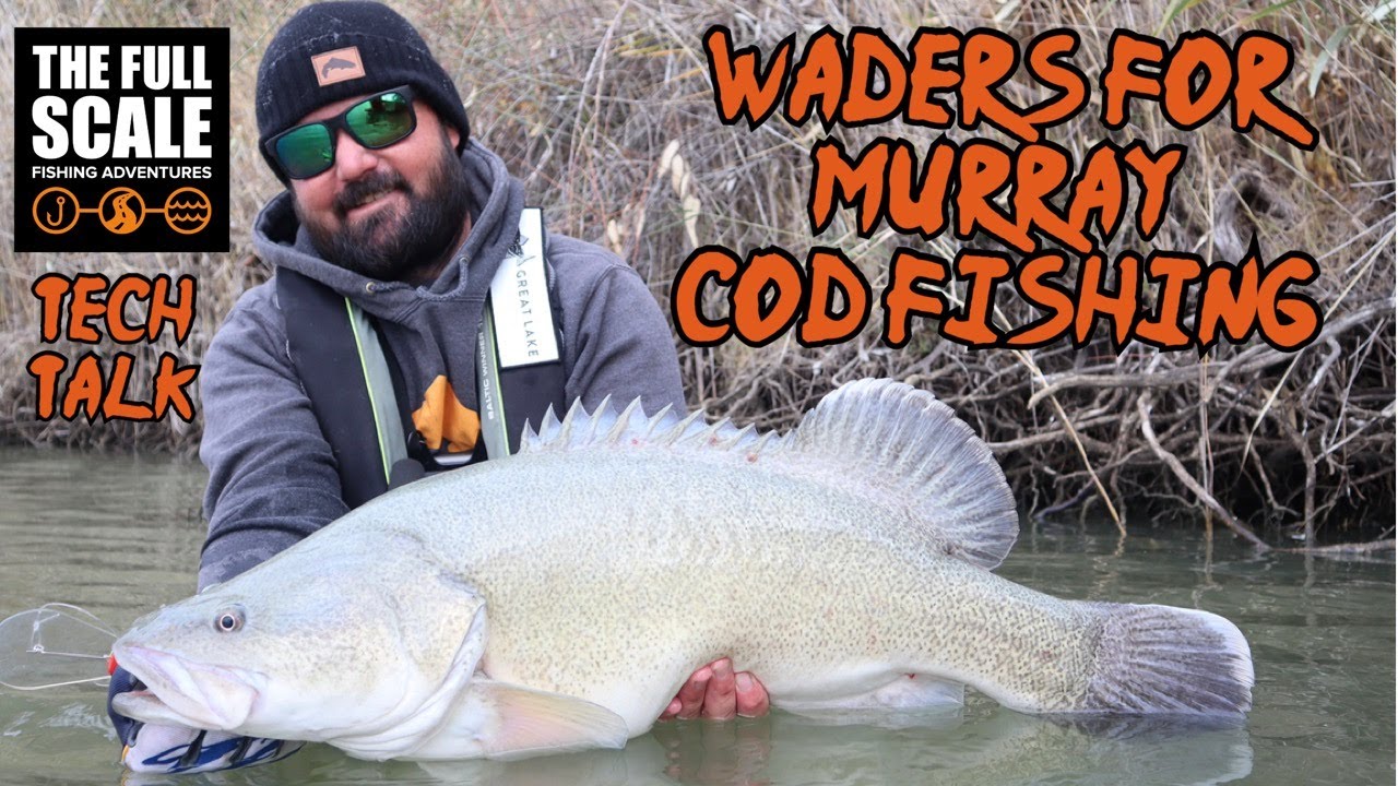 What WADERS To Wear Murray Cod Fishing | The Full Scale