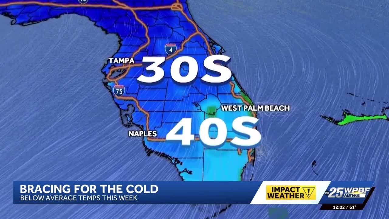 Florida residents brace for wind chills just above freezing