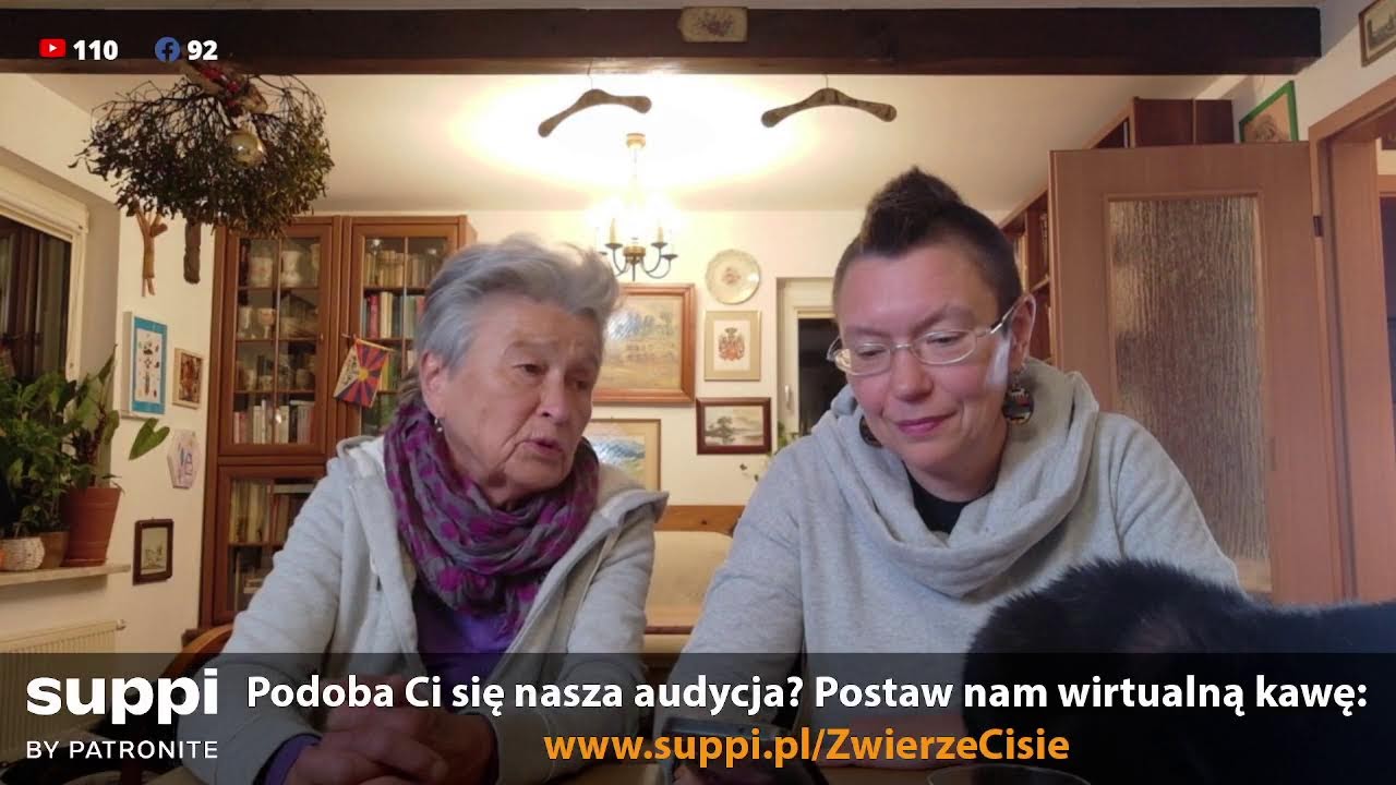 Pytania i odpowiedzi 31 stycznia 2026