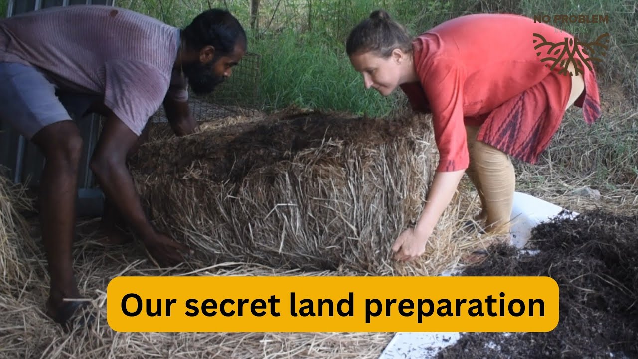 Natural farming hands on: preparing winter vegetable field 