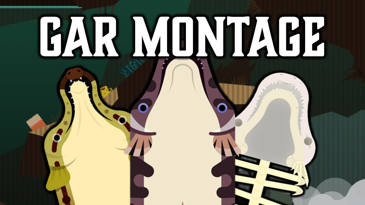 Alligator Gar Kill Montage | Deeeep.io