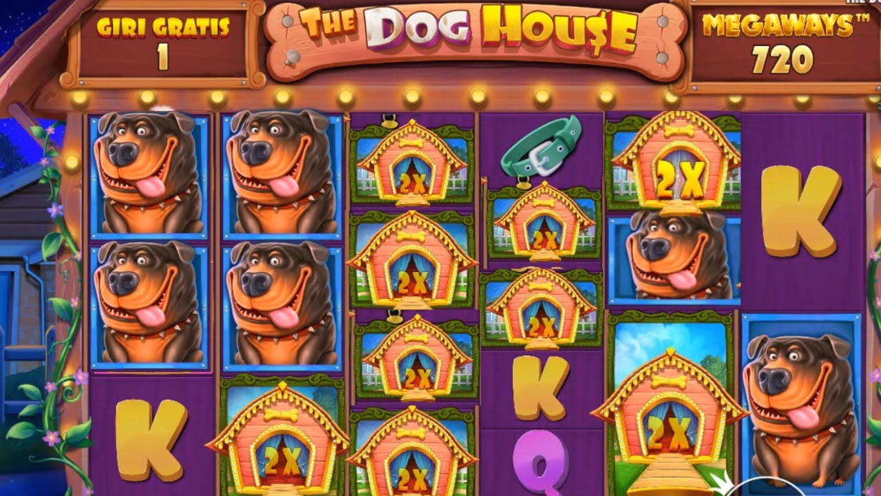 🐾 Dog House Megaways Bonus Buy Max Bet: Unleash the Mega Wins! 🌟