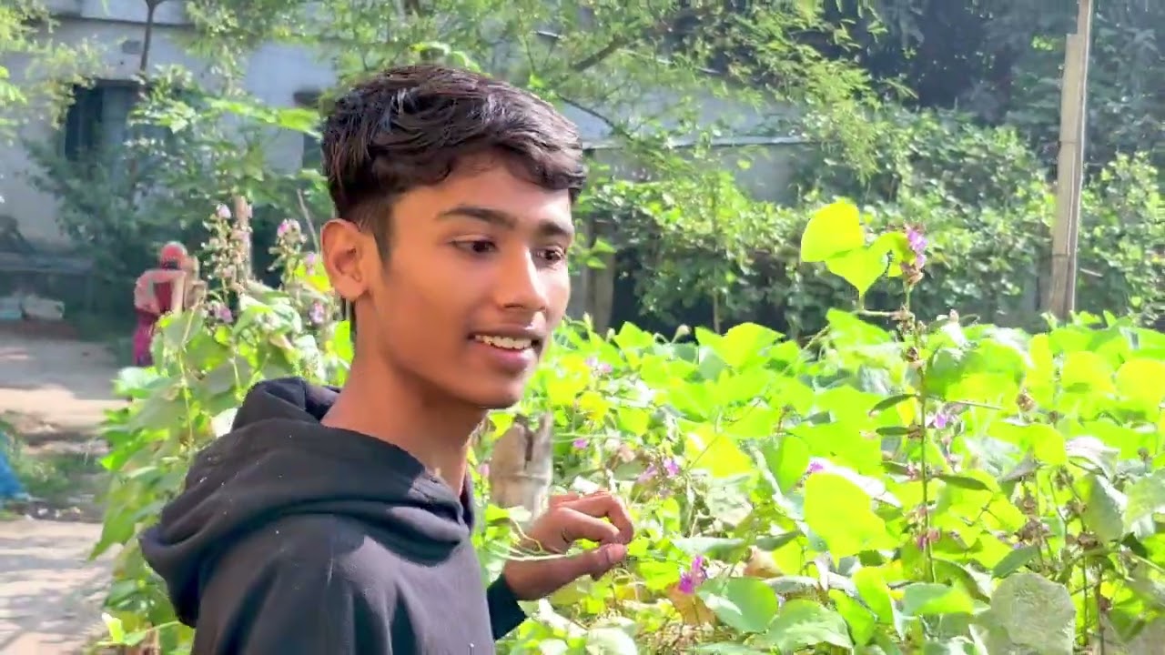 নিজ বাড়ির সবজি বাগান থেকে কিছু শাকসবজি সংগ্রহ করে রান্না করলাম