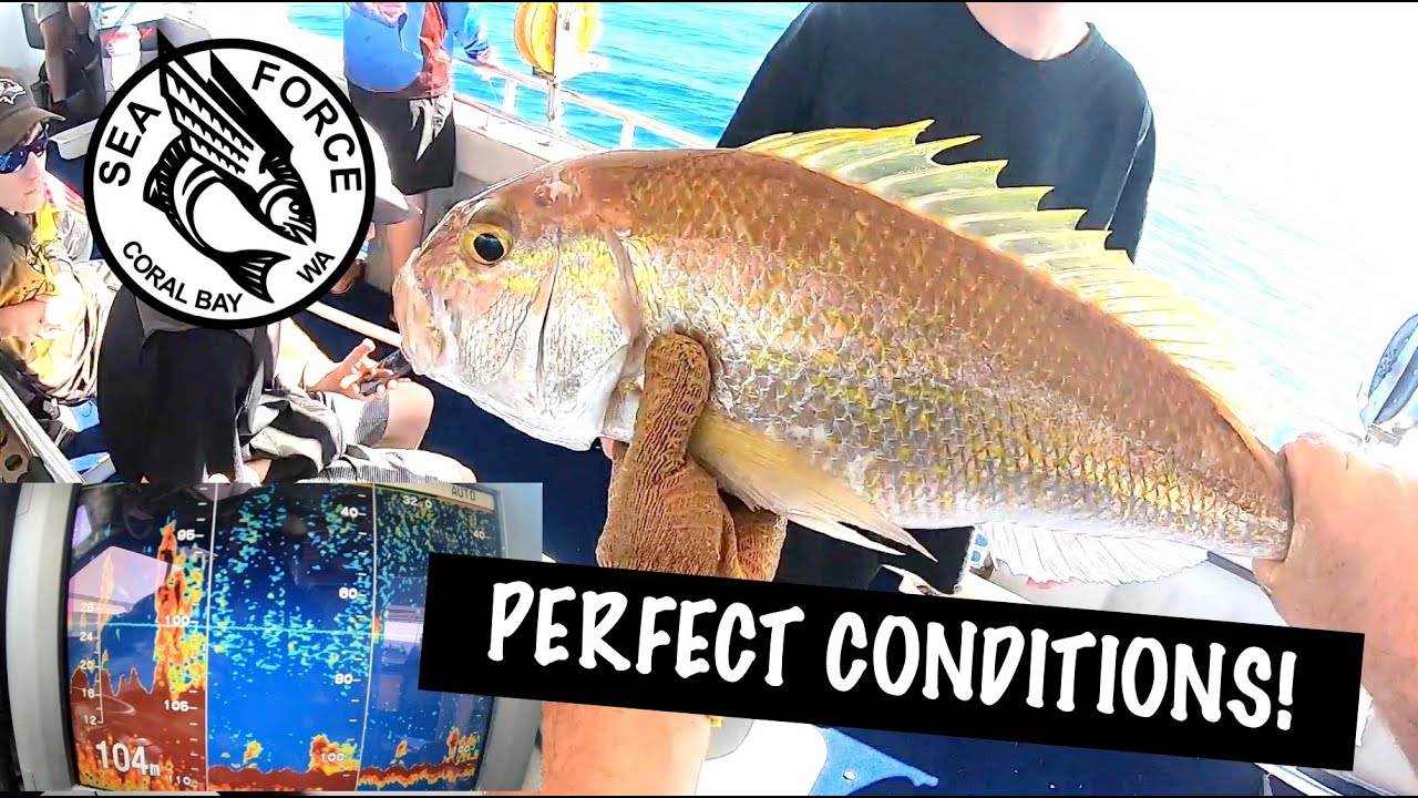 SEARCHING FOR HUNGRY FISH - Deep Sea Fishing Charter, Coral Bay Western Australia.