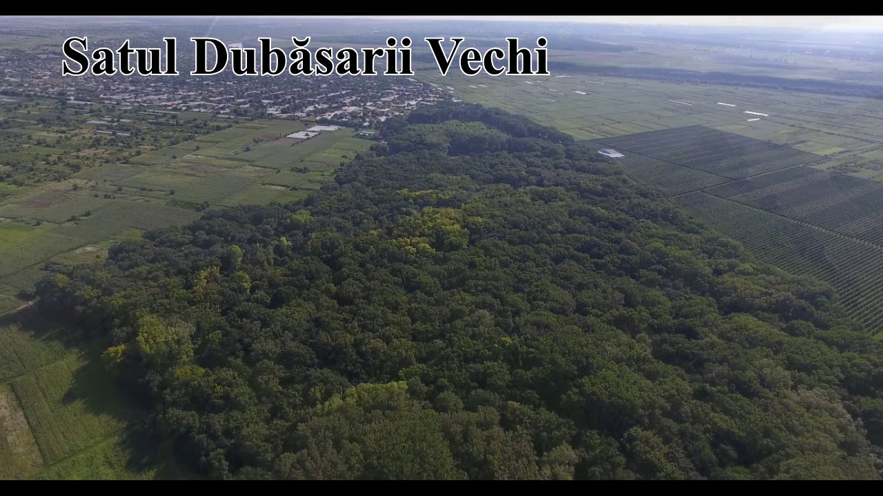 Dubăsarii  Vechi