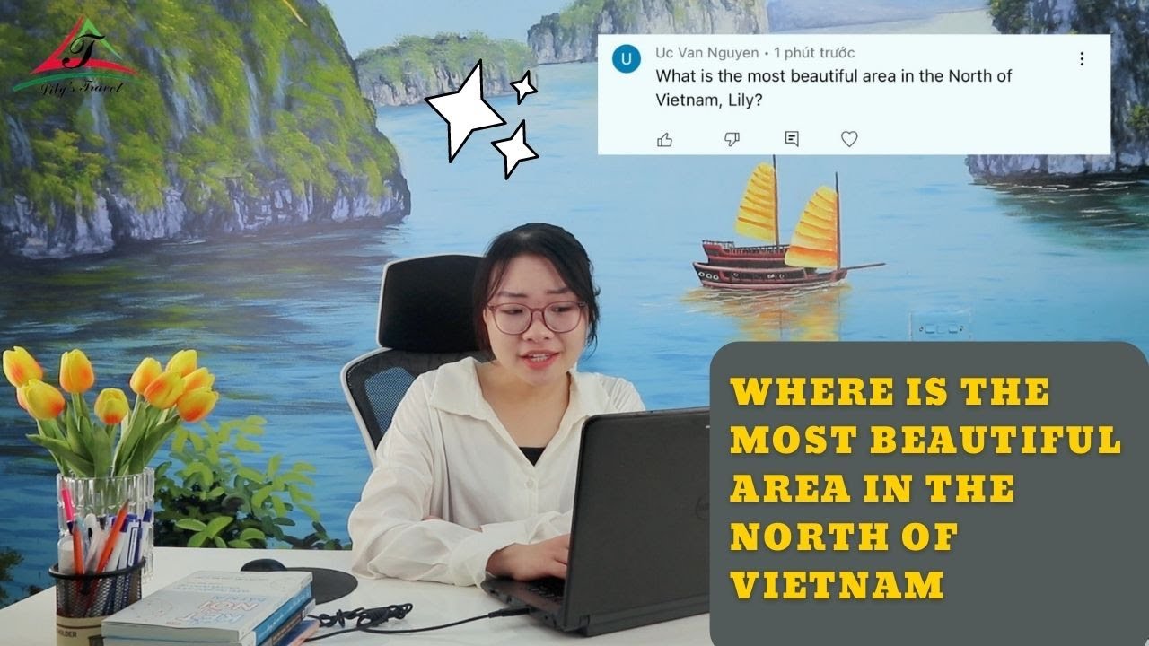 Where is the most beautiful area in the North of Vietnam|Lily's Travel| Where to visit in the North?