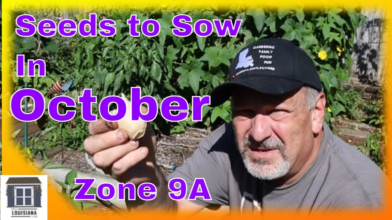 Seeds to Sow in October (Zone 9A)