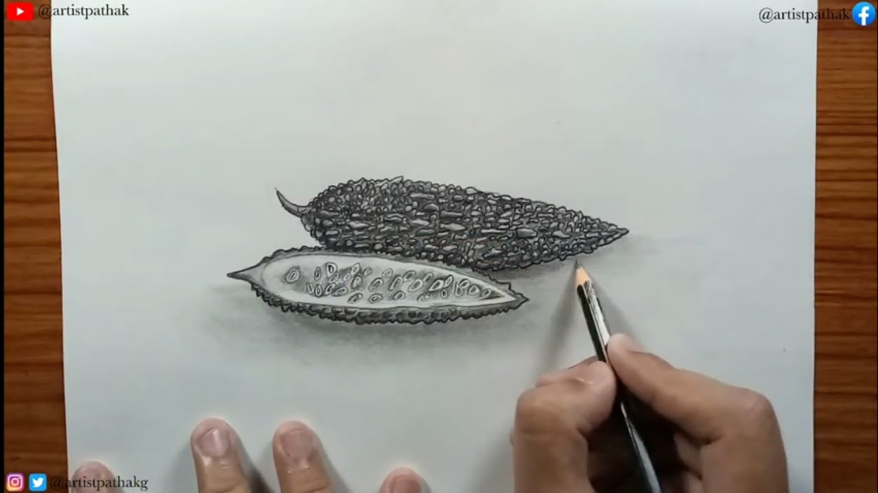 How to draw bitter gourd easy and step by step for kids and beginner's | pencil sketch