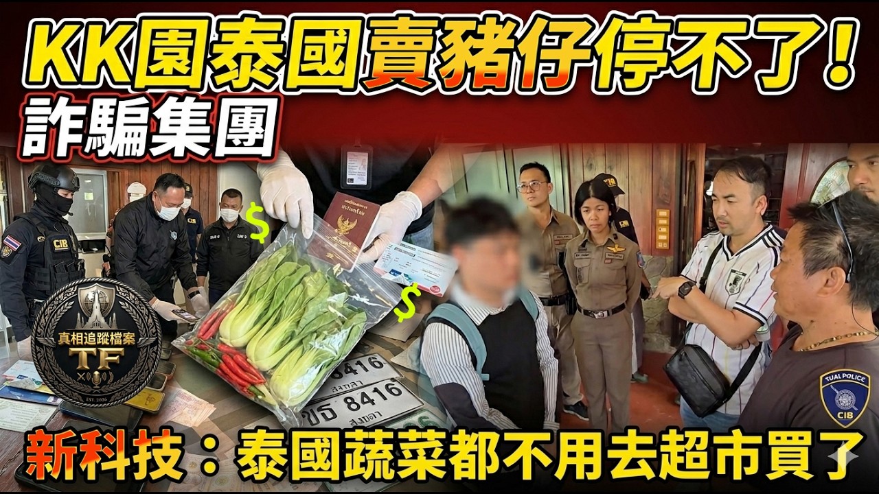 KK園在泰國賣豬仔停不了！警方連掃檔口發覺詐騙集團有新招！新科技：泰國蔬菜都不用去超市買了 （AI 廣東話配音）