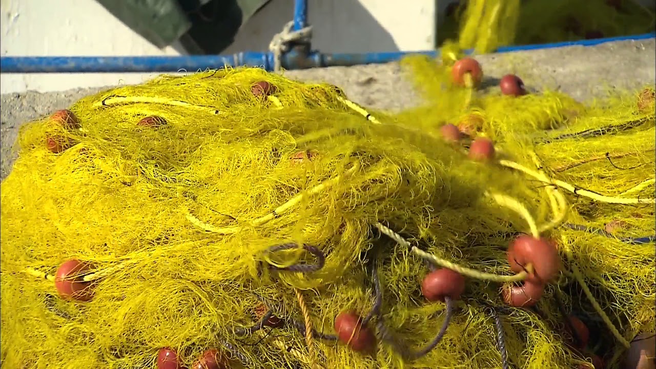 A la découverte de l'île d'Egine (Grèce - Iles Saroniques)