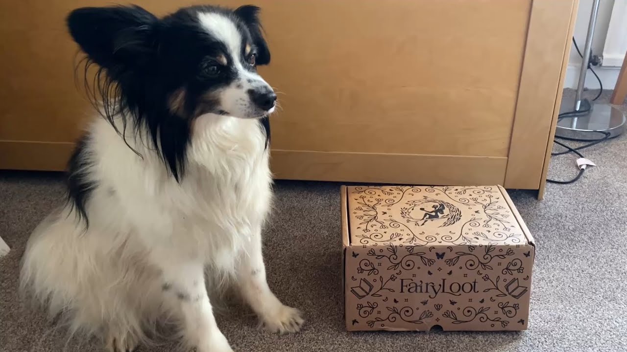 Fairyloot YA Unboxing - August 2025