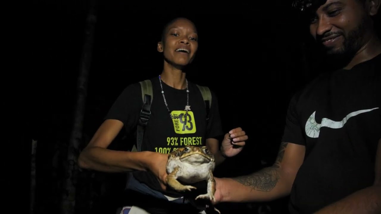 A night walk in the rainforest with Forest93 Ambassador Jean-Pierre Veira