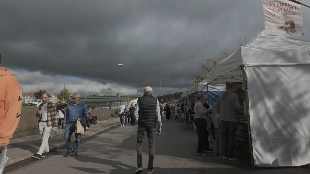 H&auml;lsinge Marknad 2025