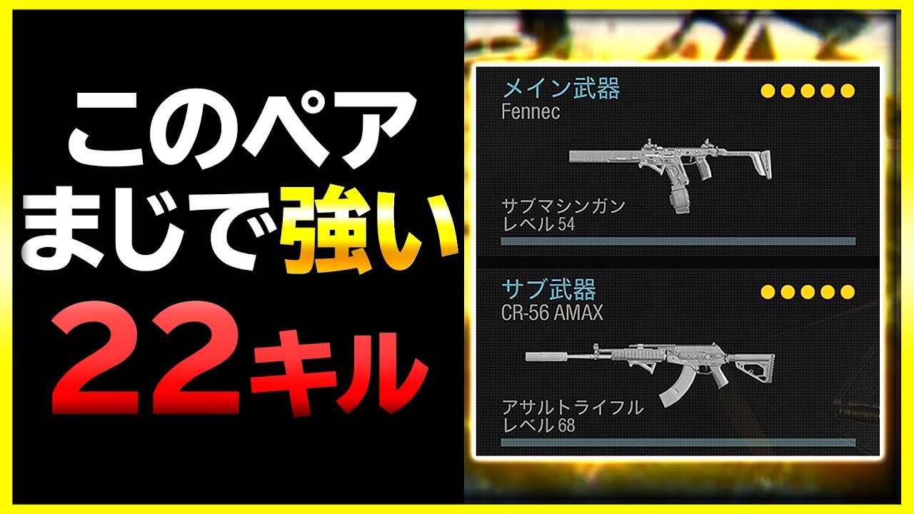 【COD WARZONE】今、新武器がとにかく強い!! ソロ22キル【 COD バトロワ 】【ぐっぴー / Rush Gaming 】