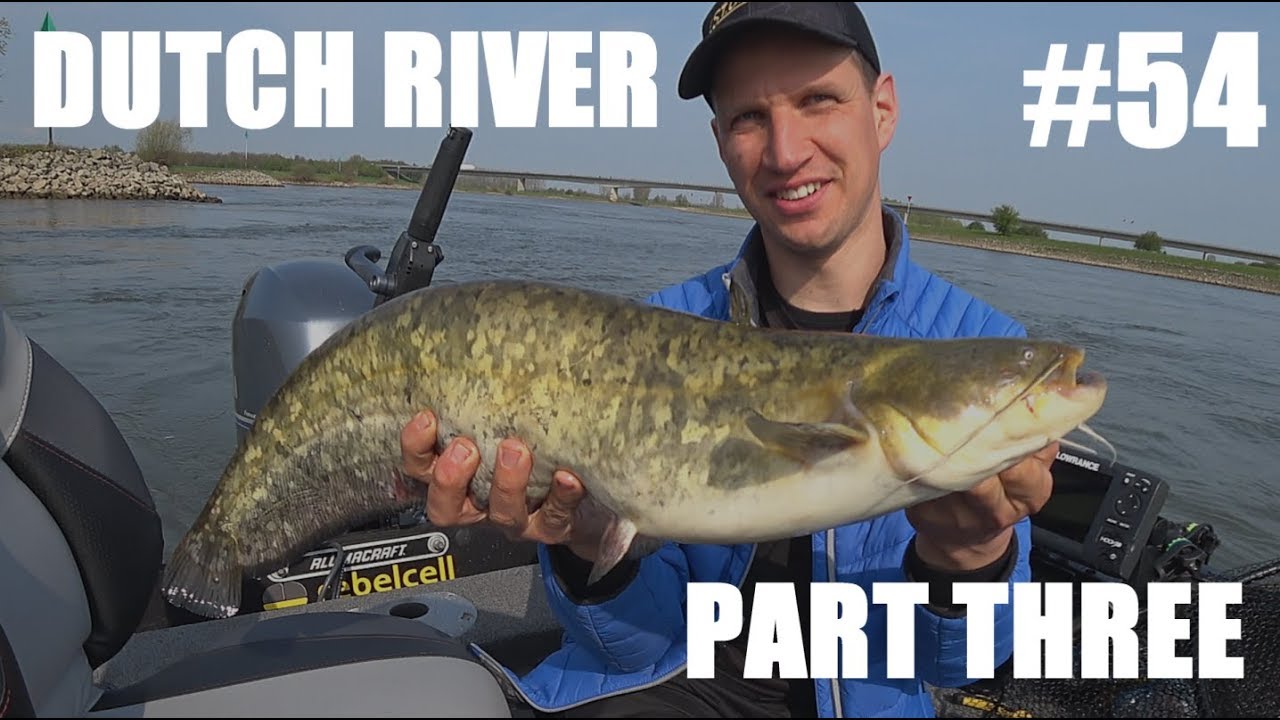 #54 Fishing The Dutch River - Part Three  (Meerval / Catfish / Waller)
