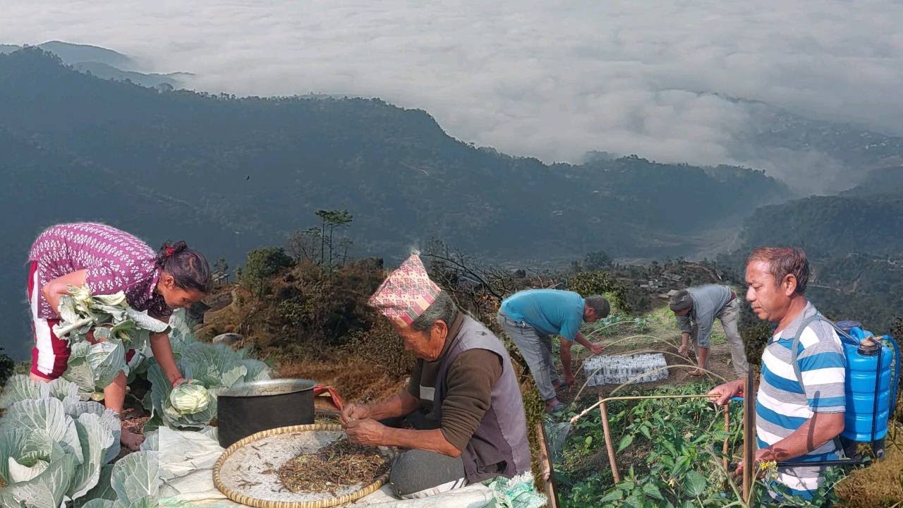 How is Life in Rural Nepal? Countryside Daily Routine || Local Explore