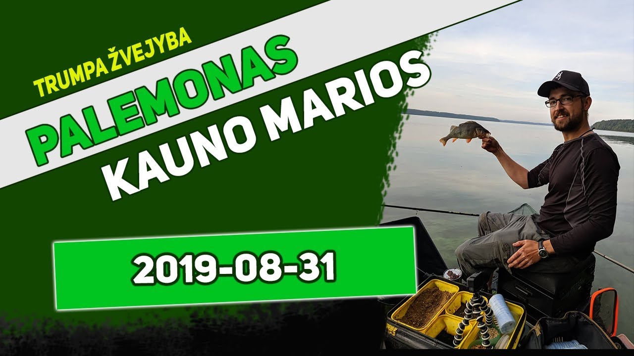 Žvejyba Feederiu. Palemonas ir žuvis vasaros gale. Jaukas.