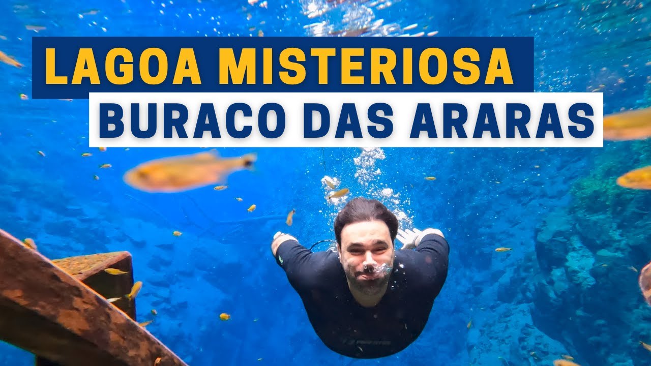 BONITO: LAGOA MISTERIOSA e BURACO DAS ARARAS | Dicas e Passeios BR