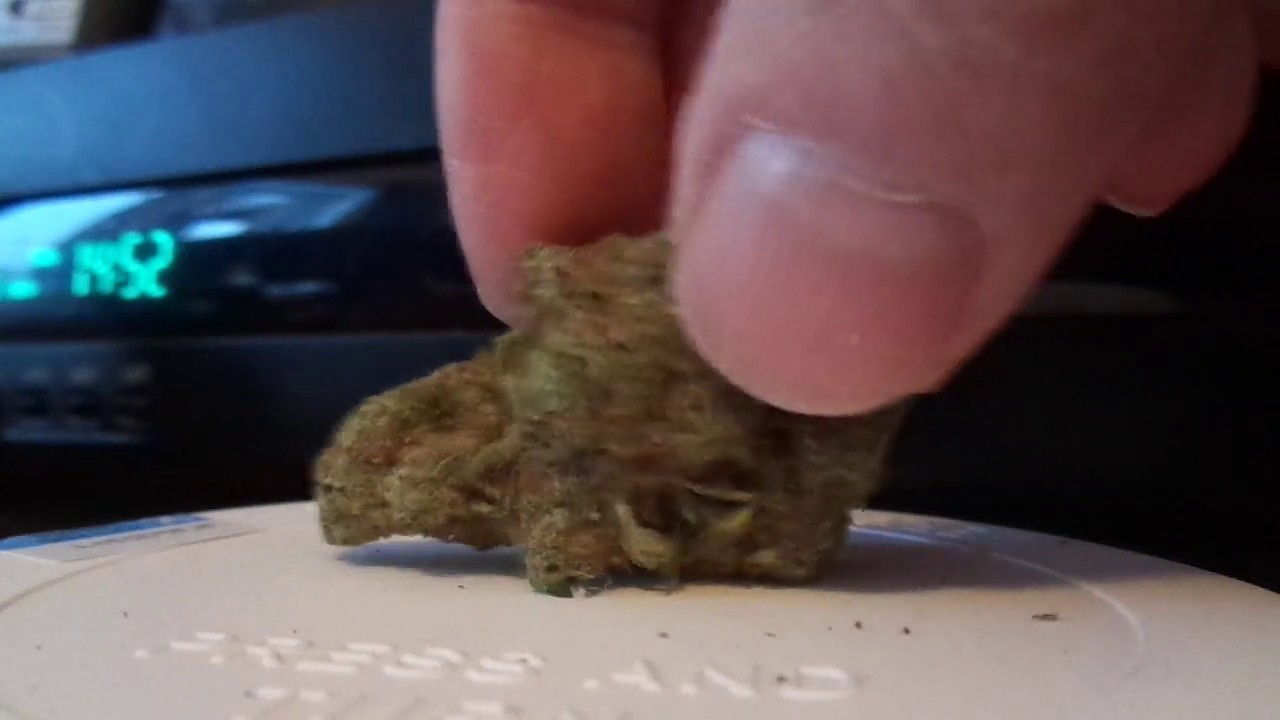 Sour-Jack strain