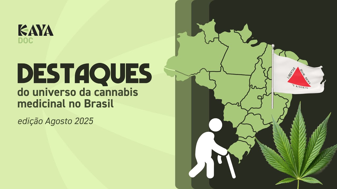 Newsletter Kaya Doc – Agosto 2025 | Novas leis, estudos e dados sobre cannabis medicinal