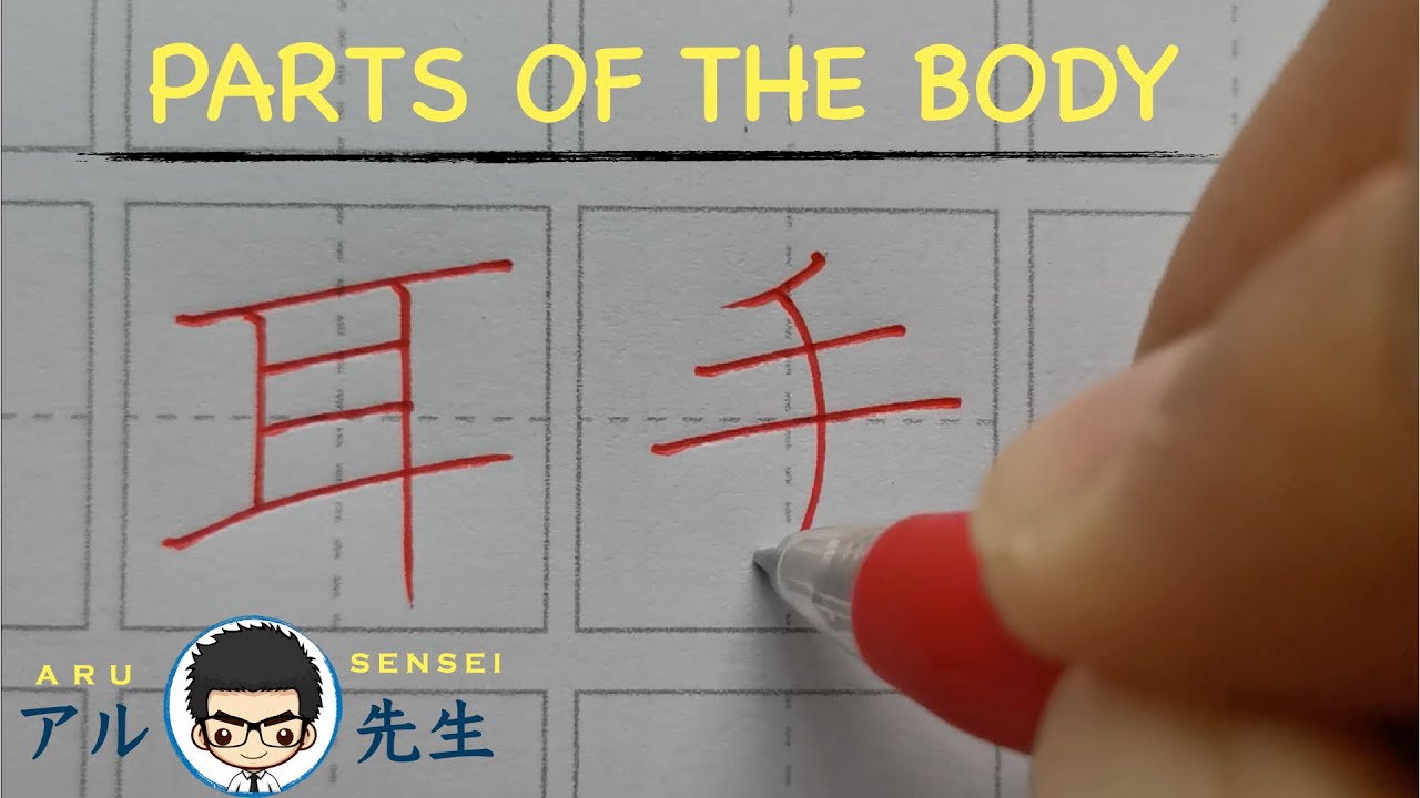 Parts of the body in Japanese-JLPT N5 KANJI