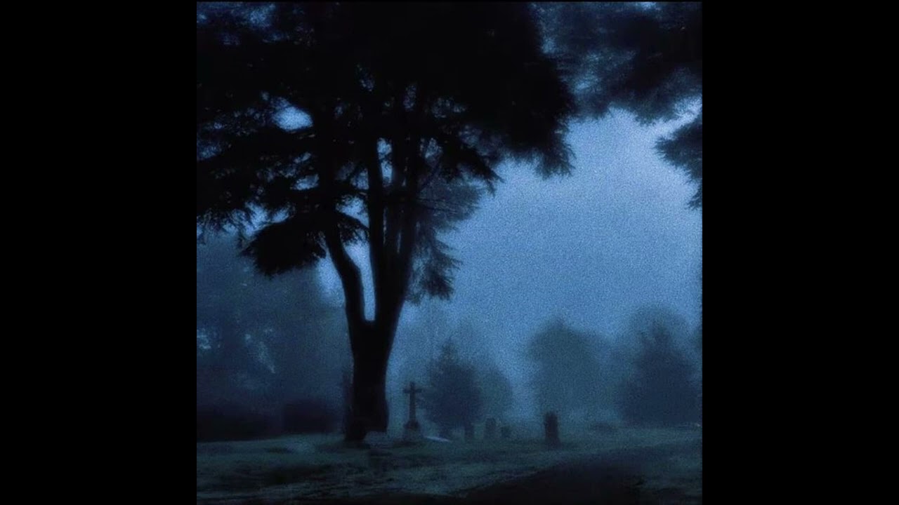 (free) shoegaze / alternative type beat