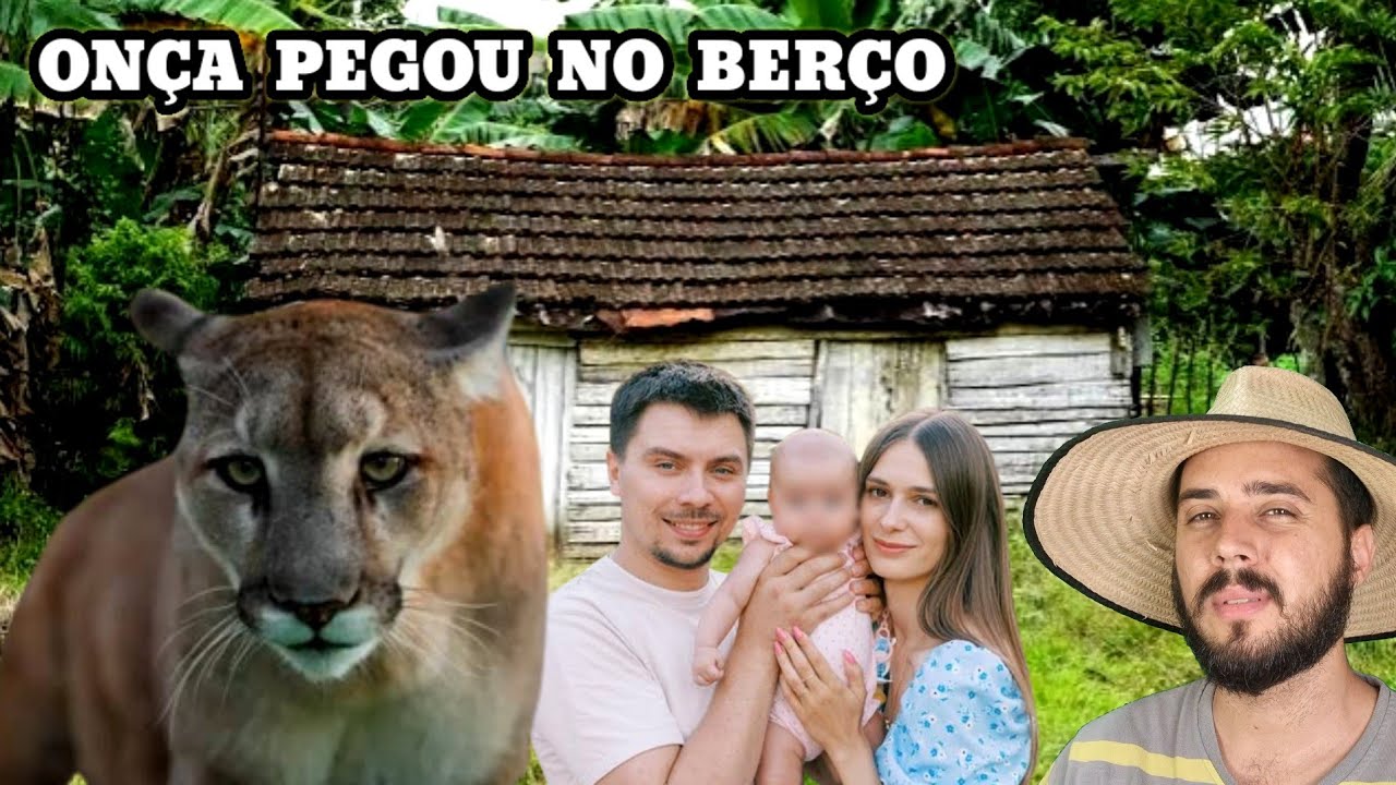 O Caboclo fez mal para os Filhotes da Onça e ela veio durante a noite se "Vingar"