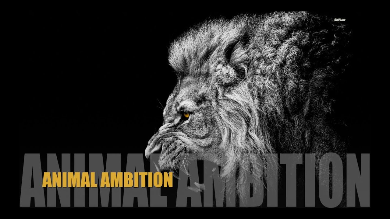 ANIMAL AMBITION - MOTIVATIONAL VIDEO ᴴᴰ