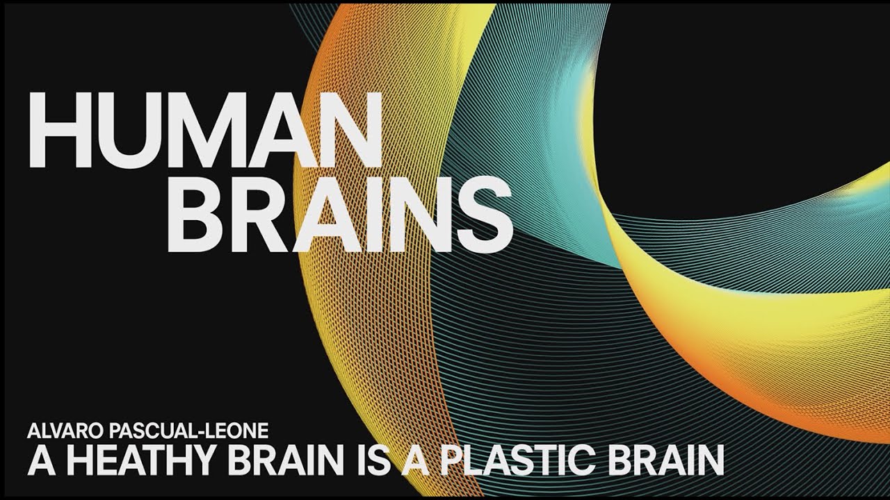 CONVERSATION #5 | Alvaro Pascual-Leone | A healthy brain is a plastic brain