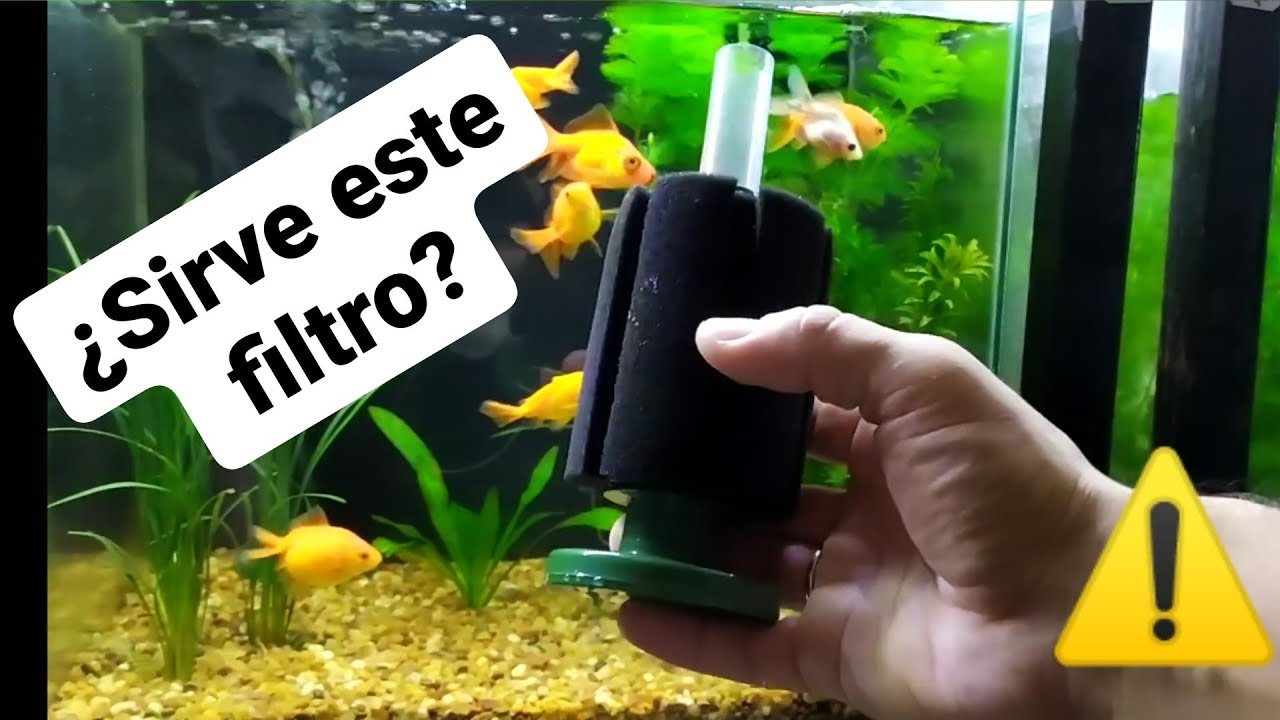 CÓMO funciona un FILTRO interno esponja⁉️ // uso y mantenimiento