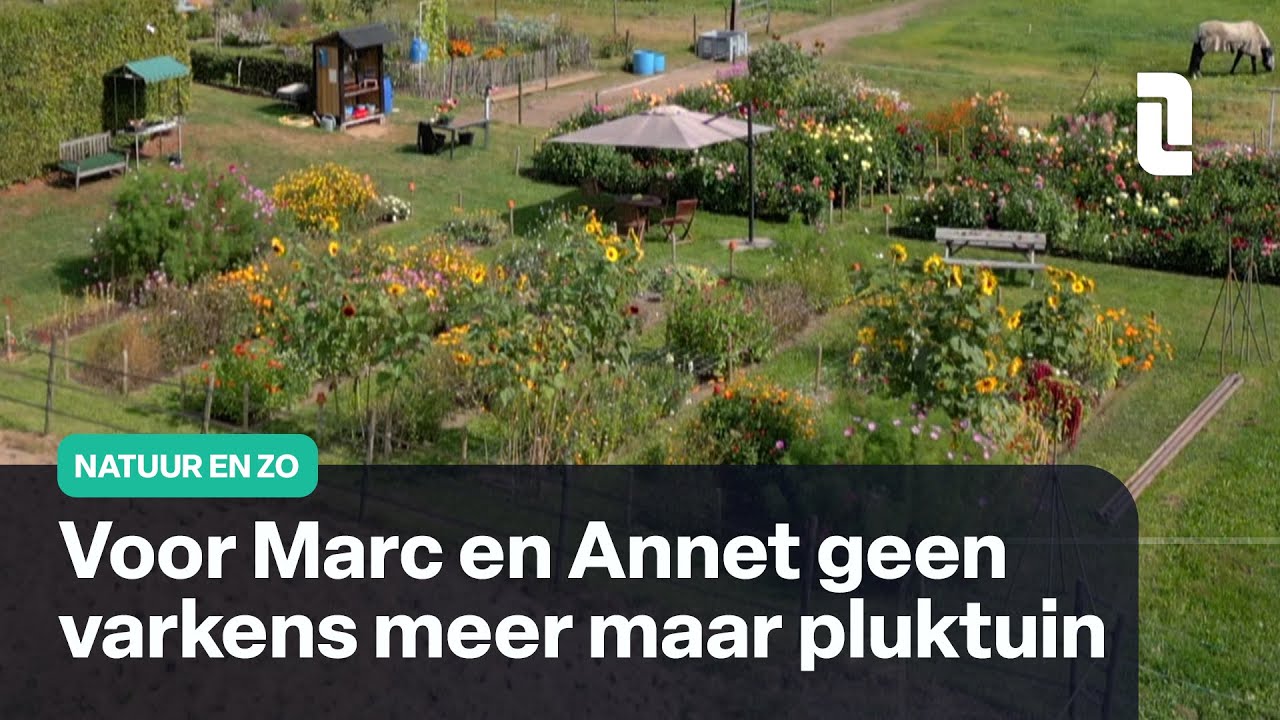 Groene Vingers: de pluktuin van Marc en Annet in Afferden | Natuur en Zo 🌿