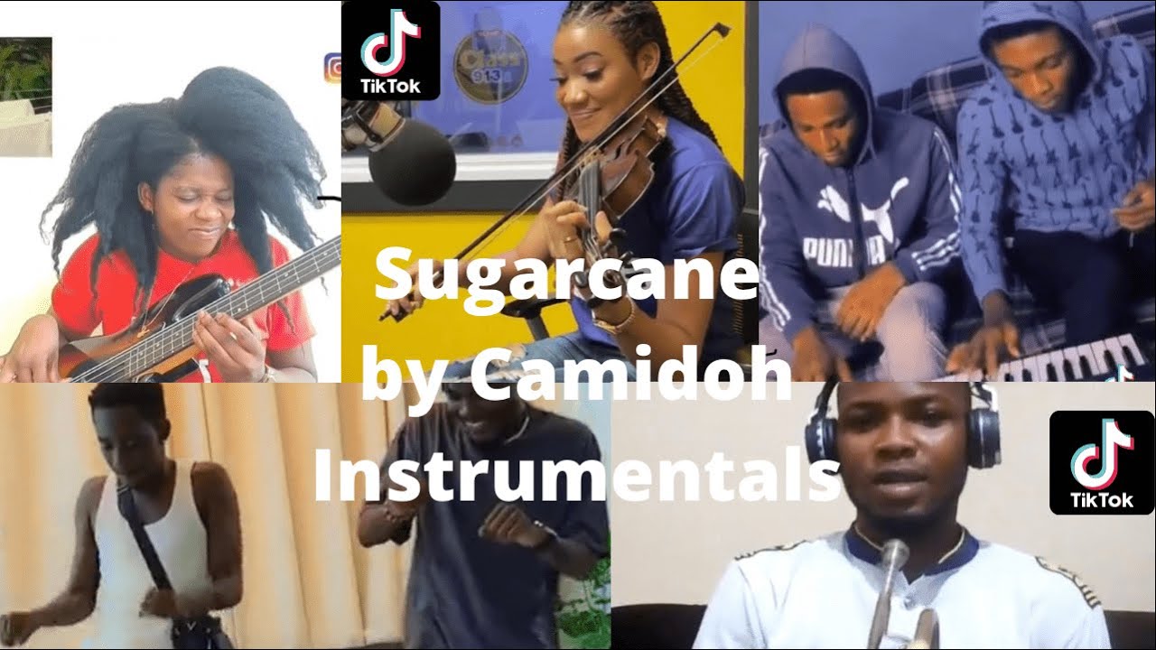 Sugarcane Camidoh  Instrumentals | Who won this !!!