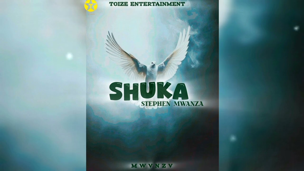 Shuka - Stephen Mwanza (Official Audio)