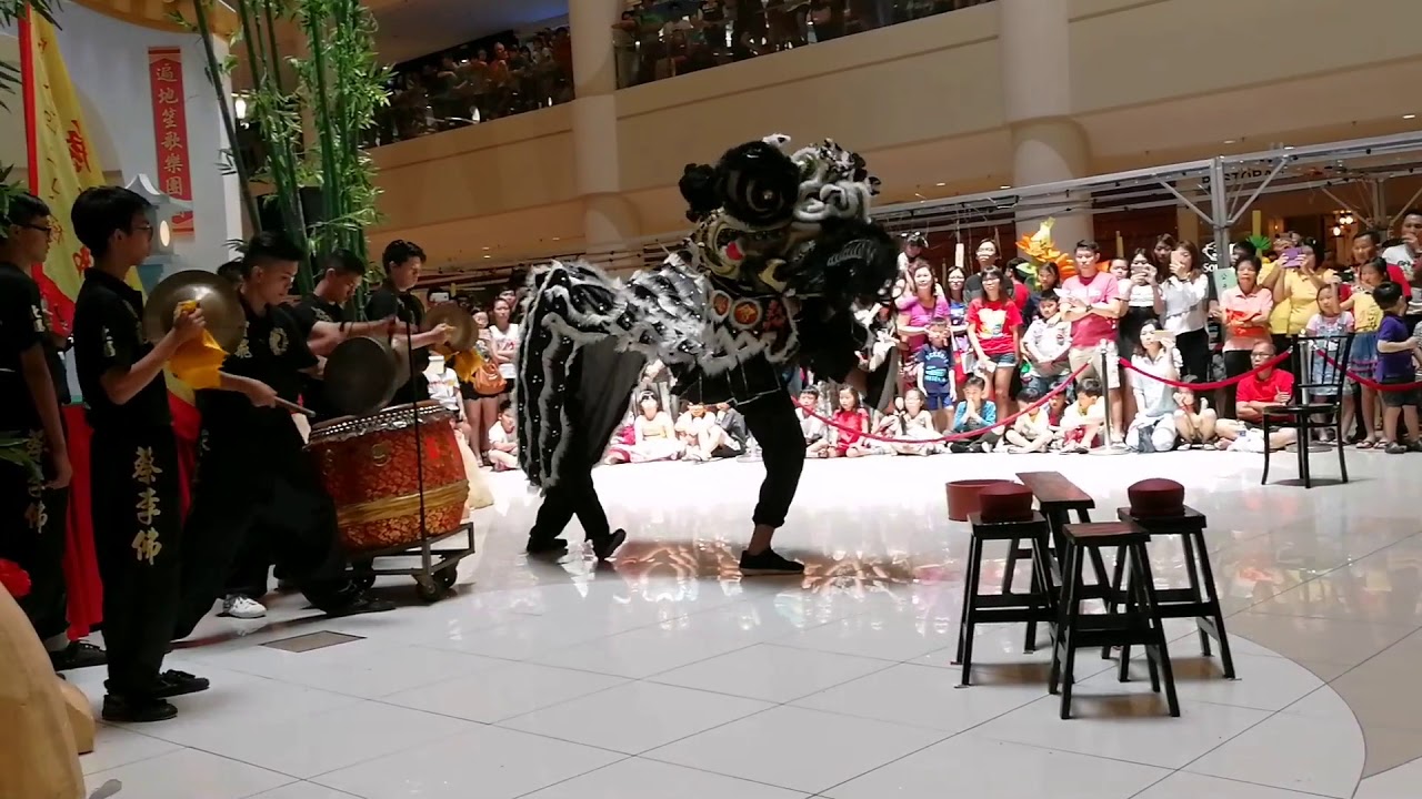 智飛蔡李佛醒獅勇破响尾蛇陣