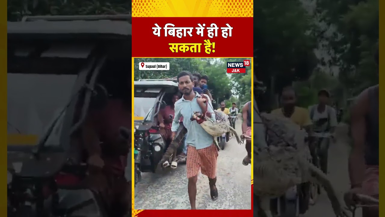 Bihar Shocker: Farmer Carries 5-Foot Crocodile on His Shoulder to Police Station |Supaul Viral Video