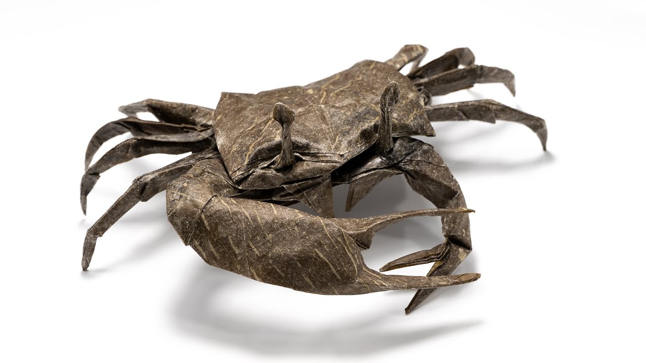 Origami Fiddler Crab time lapse (Satoshi Kamiya) 折り紙  シオマネキ cangrejo
