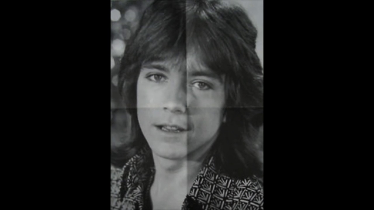 1000 Words   David Cassidy and Susan Dey