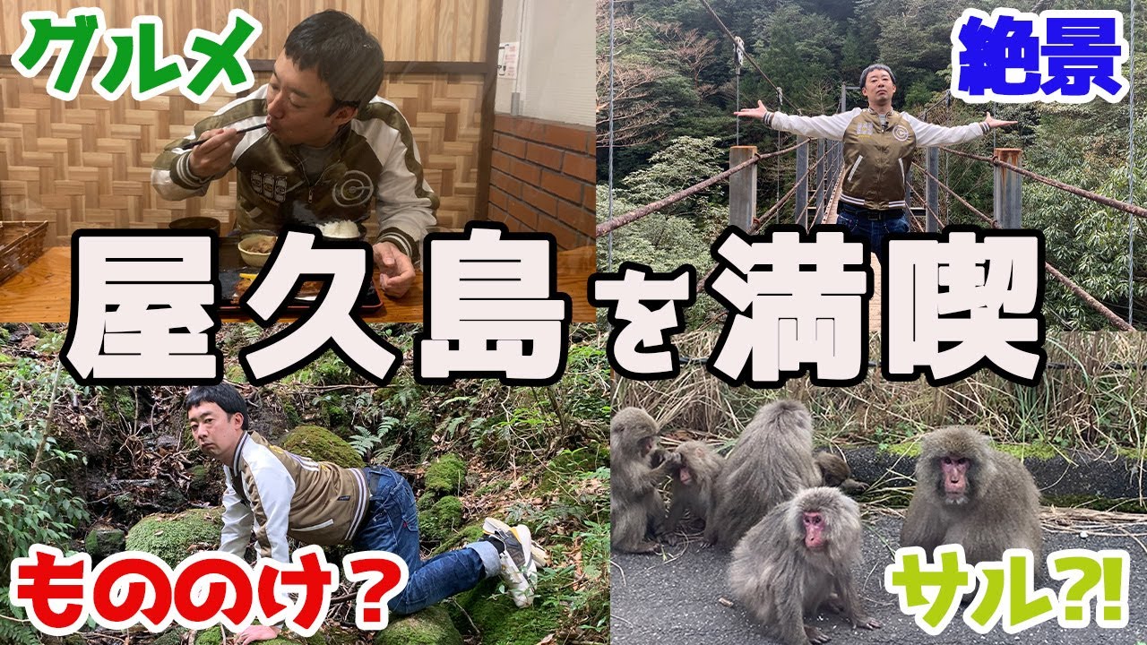【鹿児島ロケ③】滞在時間３時間⁈R藤本が屋久島を満喫する