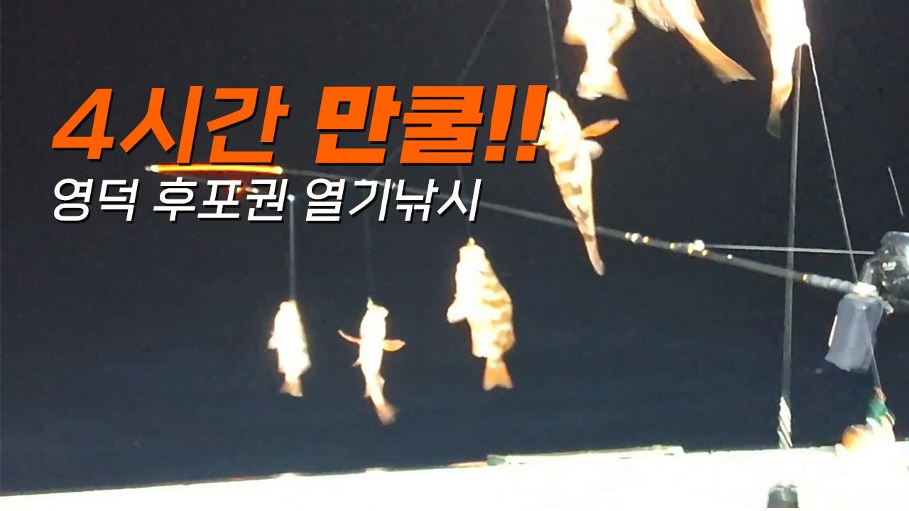 4시간 만에 만쿨!!(영덕 후포권 열기 낚시)