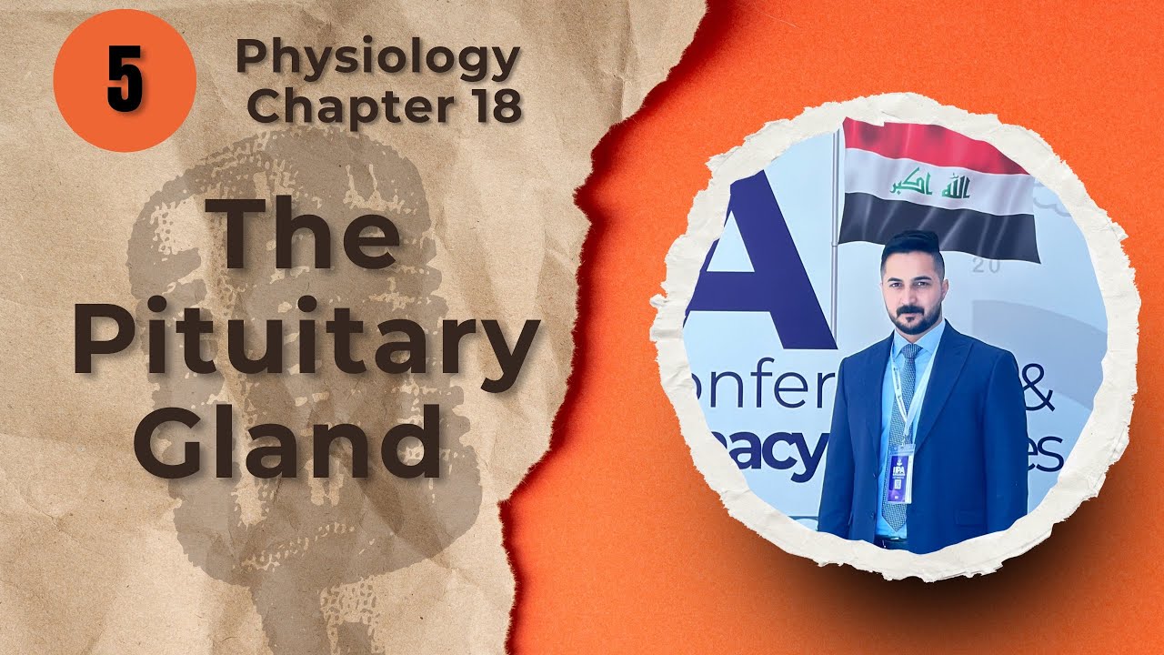The Pituitary Gland Chapter 18 (فسلجة وزاري)