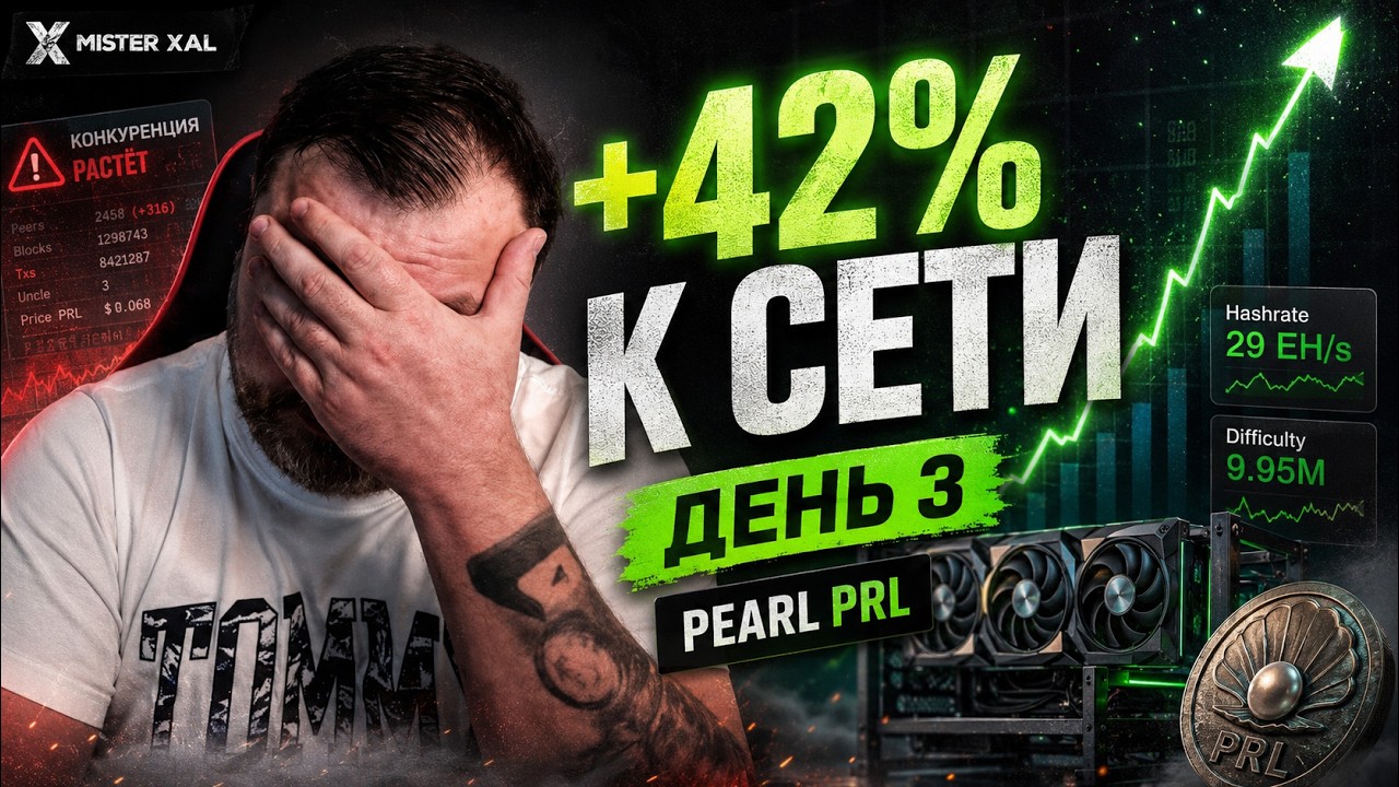 Майнинг Pearl PRL: День 3 &mdash; хешрейт вырос на 42%
