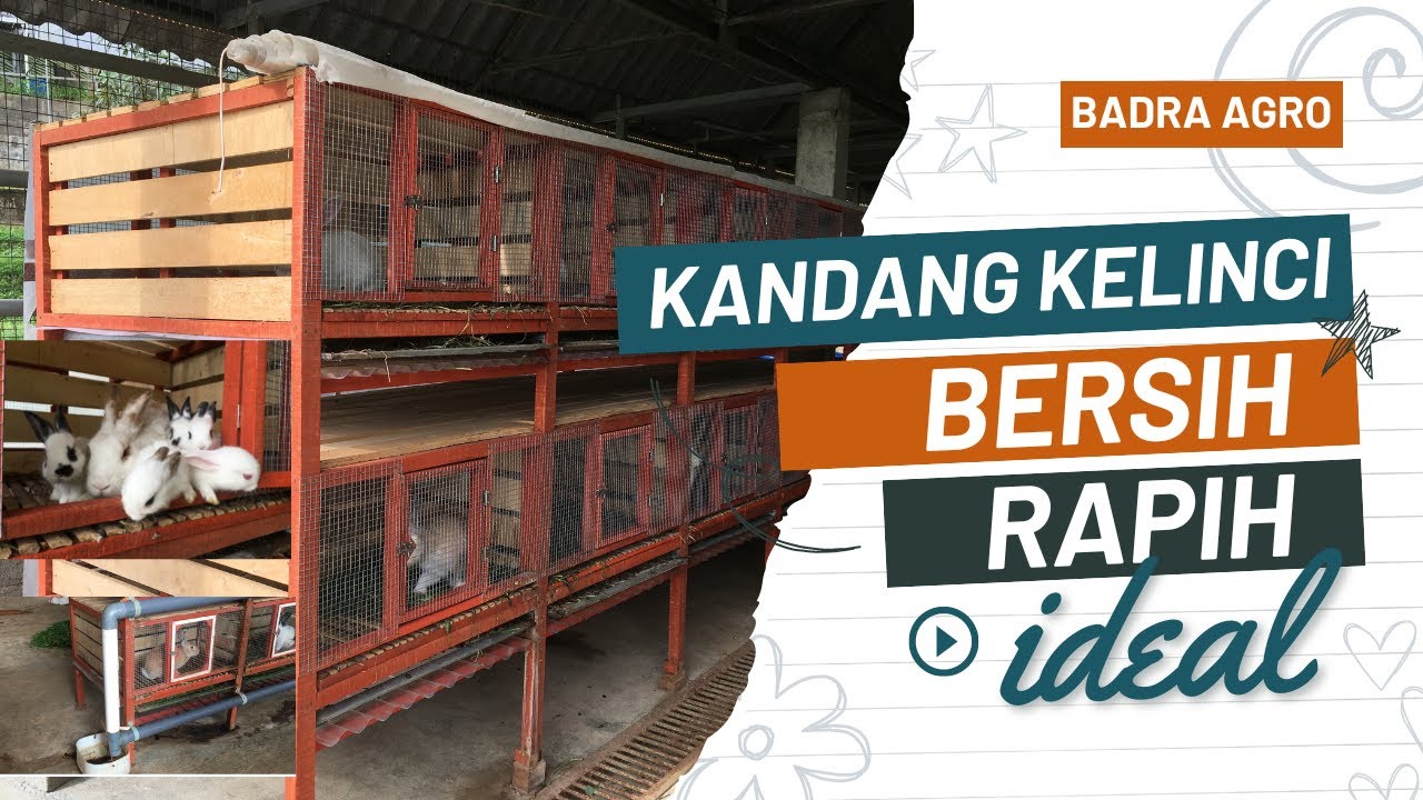 Kandang Kelinci menjadi bersih, rapih dan nyaman