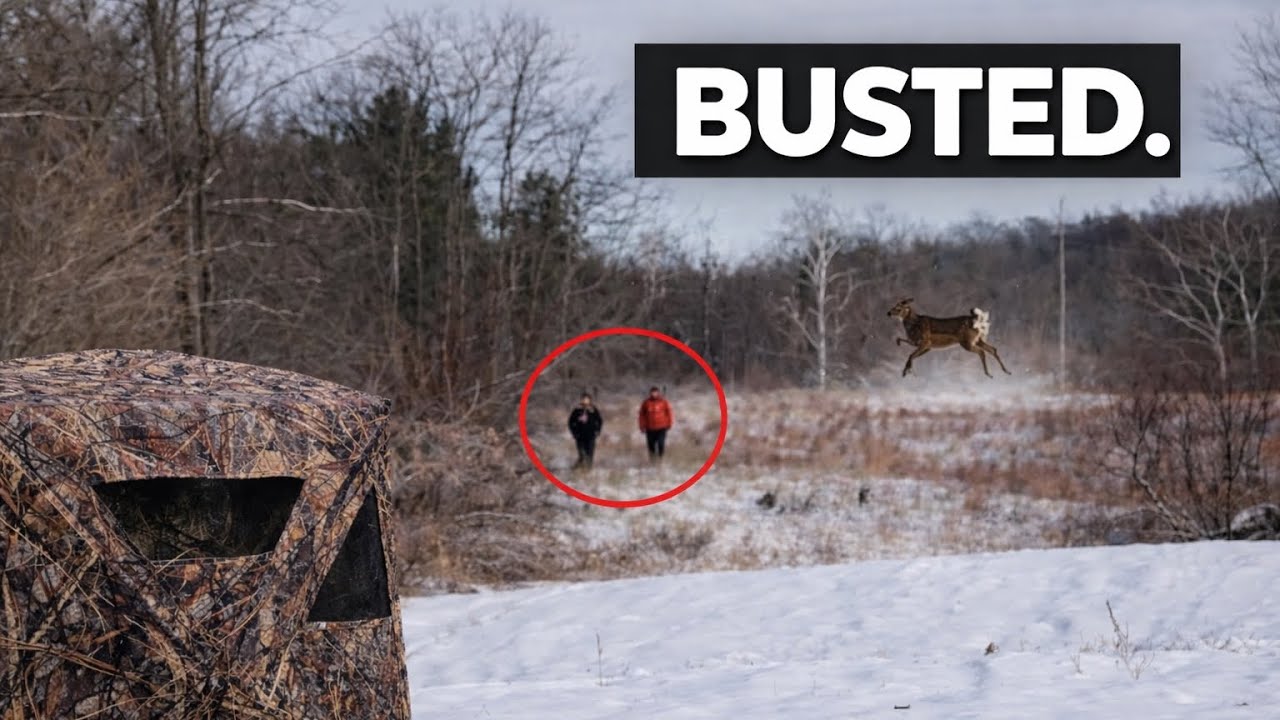 Hunting a cold front on public land 