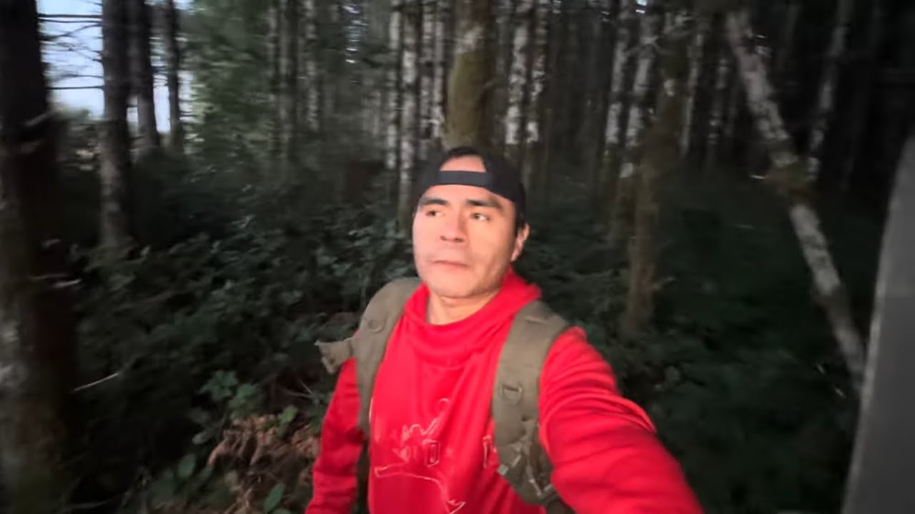 Vean que miedo en el bosque solo en la noche 